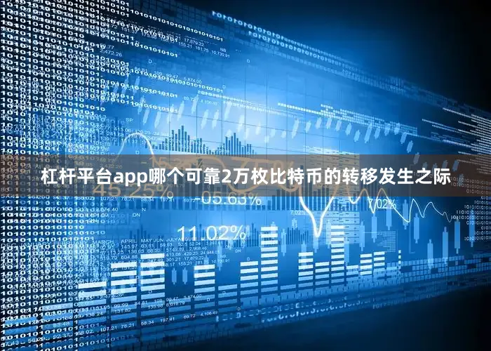 杠杆平台app哪个可靠2万枚比特币的转移发生之际