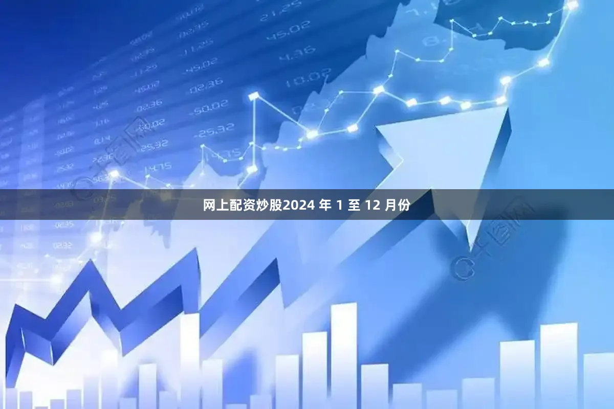 网上配资炒股2024 年 1 至 12 月份