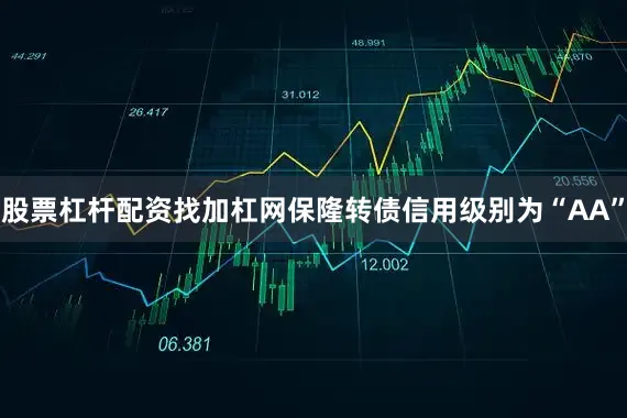 股票杠杆配资找加杠网保隆转债信用级别为“AA”