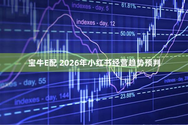 宝牛E配 2026年小红书经营趋势预判
