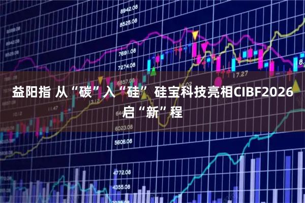 益阳指 从“碳”入“硅” 硅宝科技亮相CIBF2026启“新”程