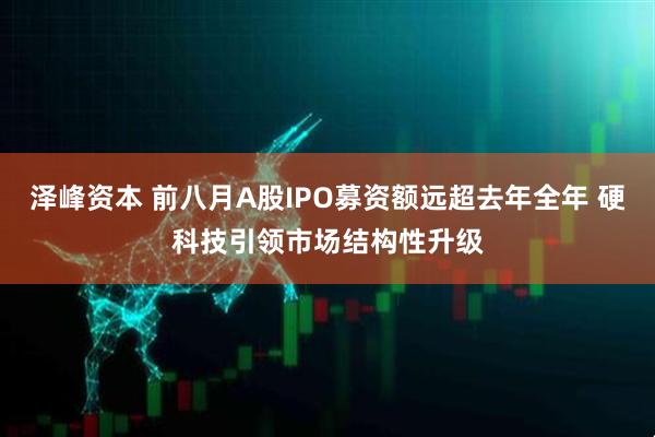 泽峰资本 前八月A股IPO募资额远超去年全年 硬科技引领市场结构性升级